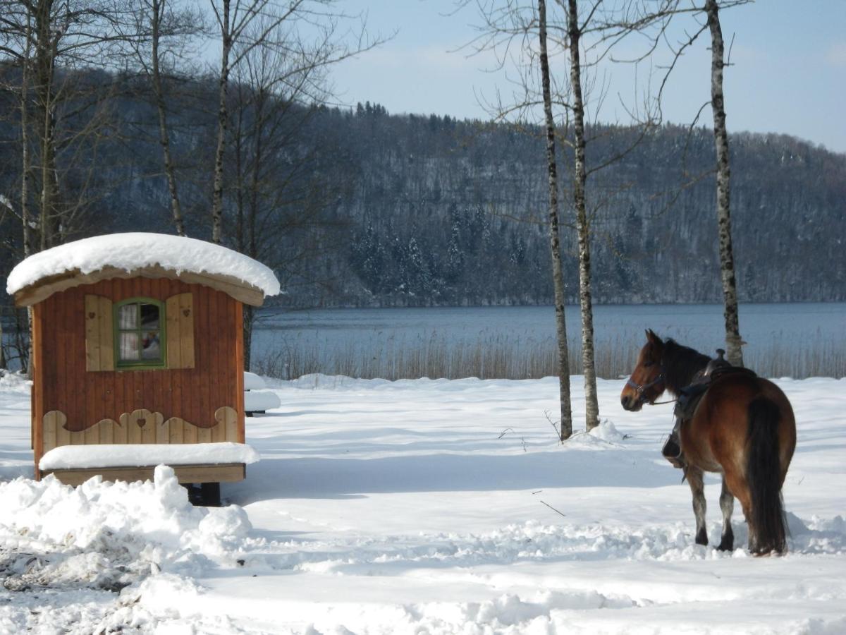 Parc Animalier Du Herisson Villa Doucier Exteriör bild