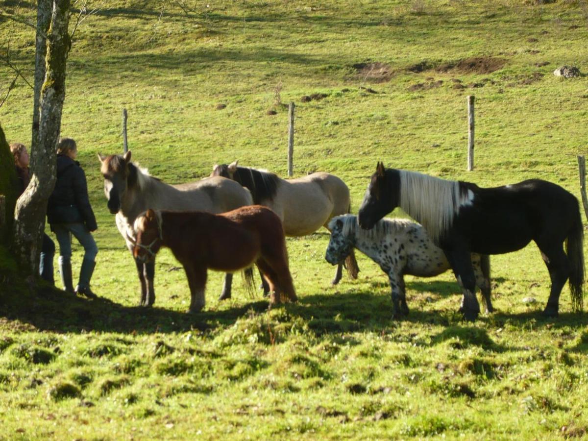 Parc Animalier Du Herisson Villa Doucier Exteriör bild