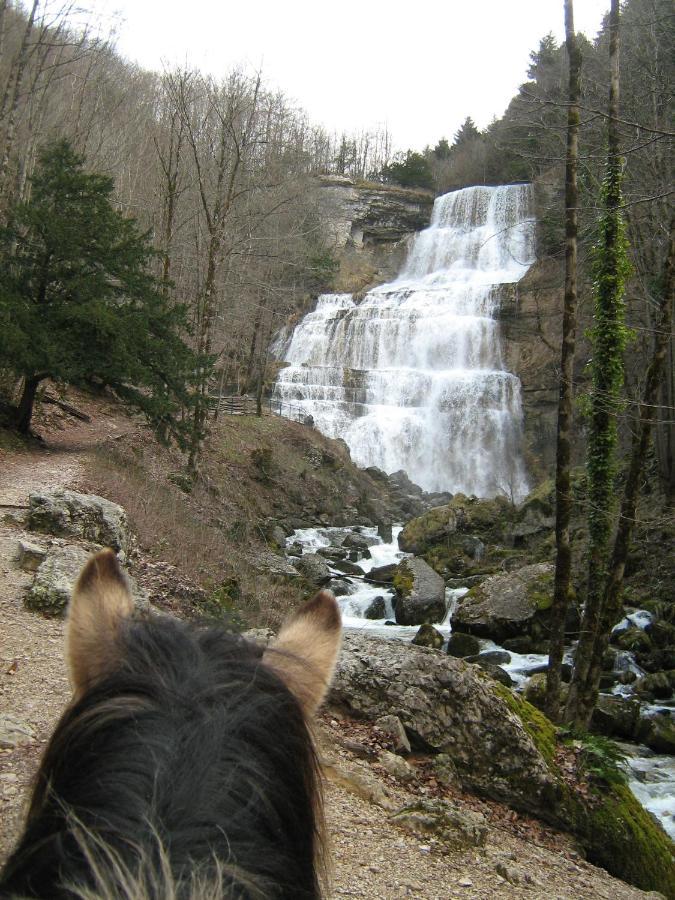 Parc Animalier Du Herisson Villa Doucier Exteriör bild