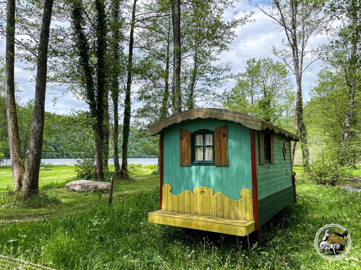 Parc Animalier Du Herisson Villa Doucier Exteriör bild