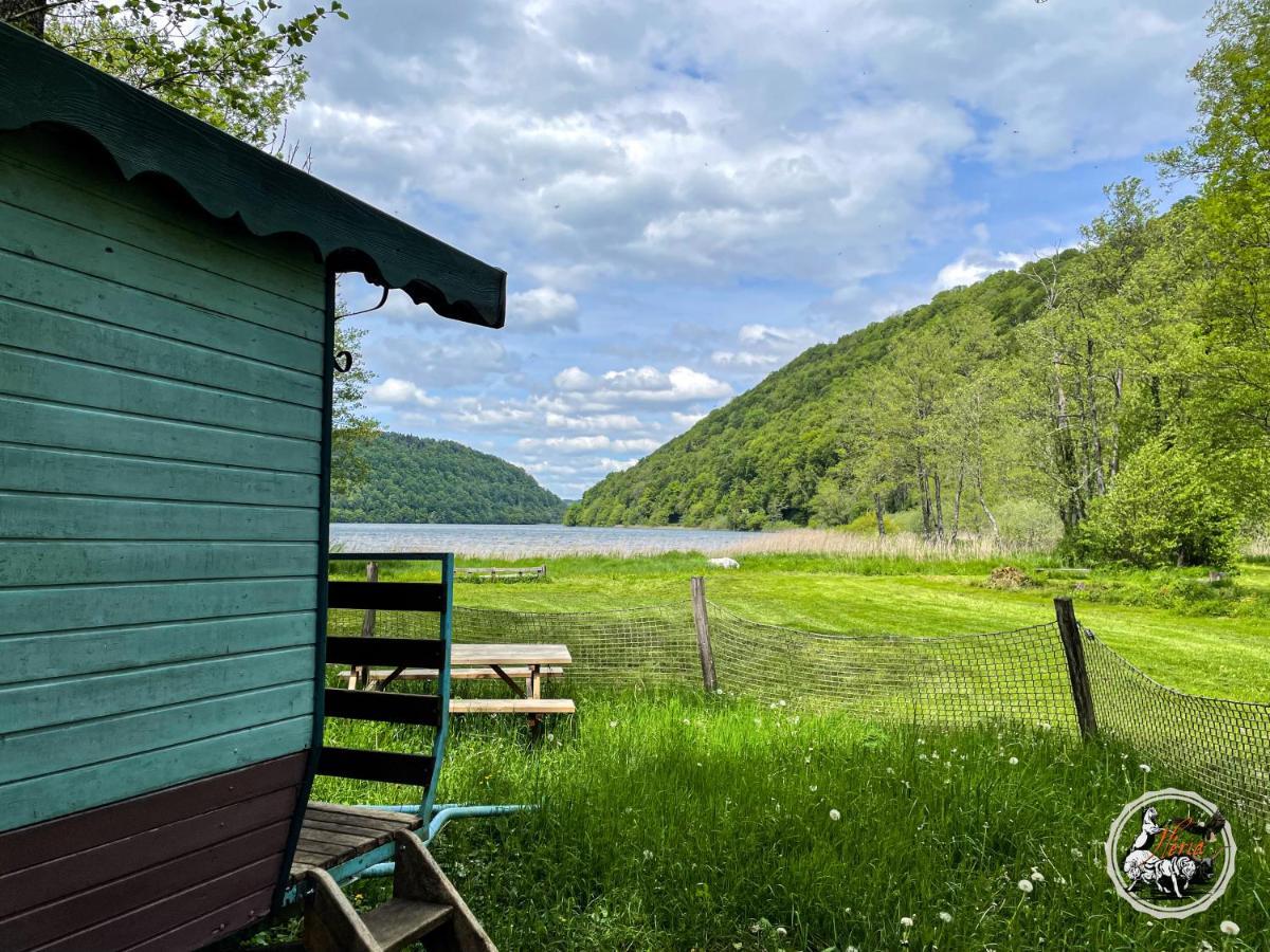 Parc Animalier Du Herisson Villa Doucier Exteriör bild