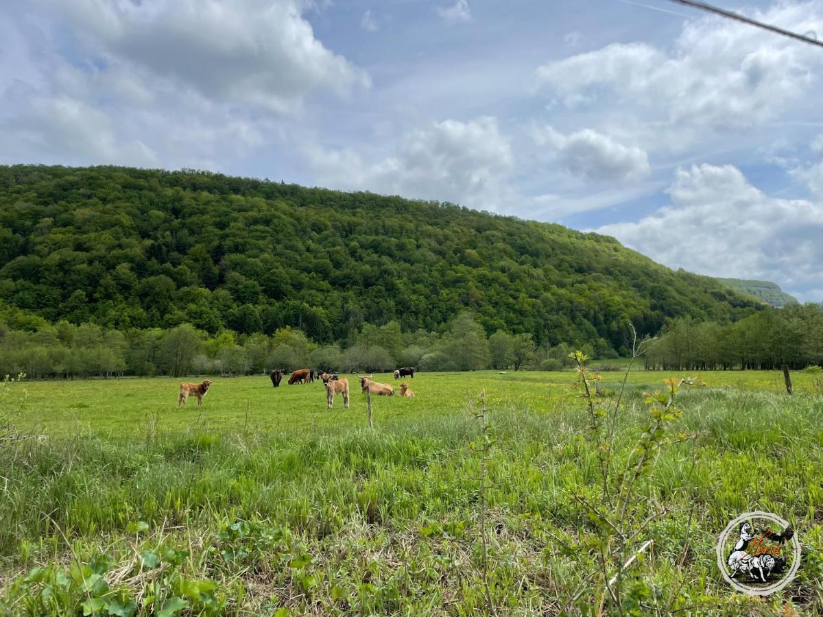 Parc Animalier Du Herisson Villa Doucier Exteriör bild